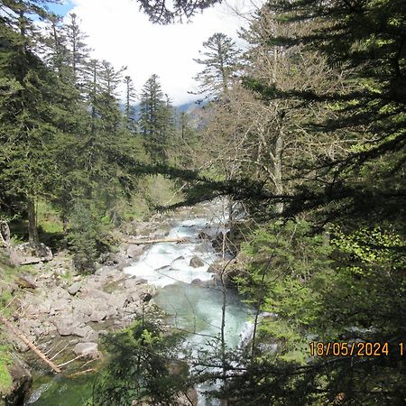 Studio Cerisema Pyrenees Zenith Luz-Saint-Sauveur Dış mekan fotoğraf