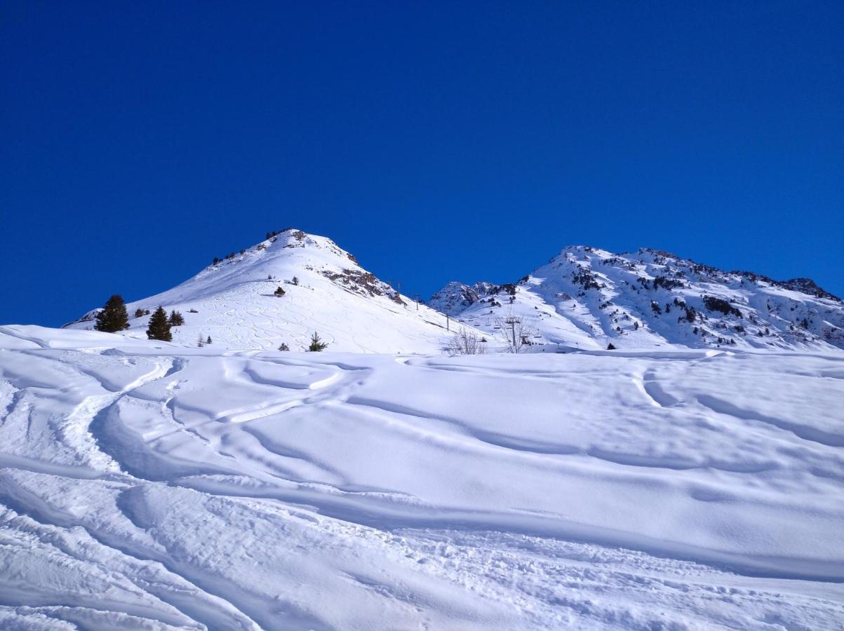 Studio Cerisema Pyrenees Zenith Luz-Saint-Sauveur Dış mekan fotoğraf